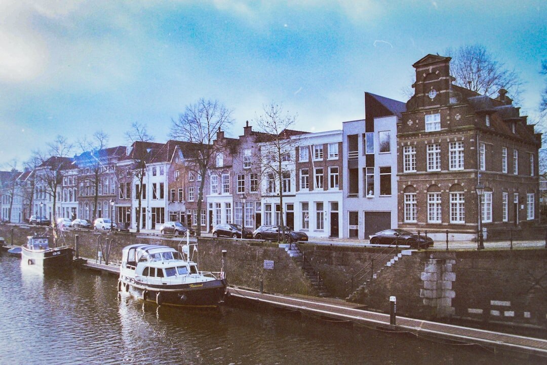 dutch mystery novel