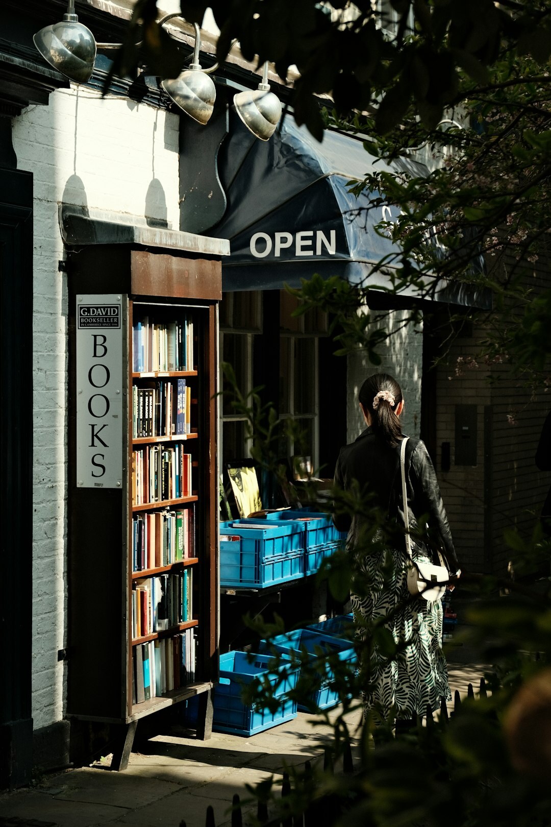 old dutch books