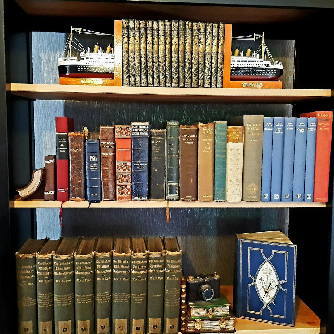 bookshelf with thrillers